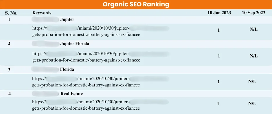 Organic-seo-ranking-report