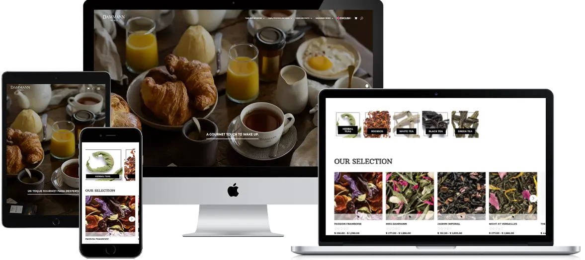 Dammann-website-view-on-devices